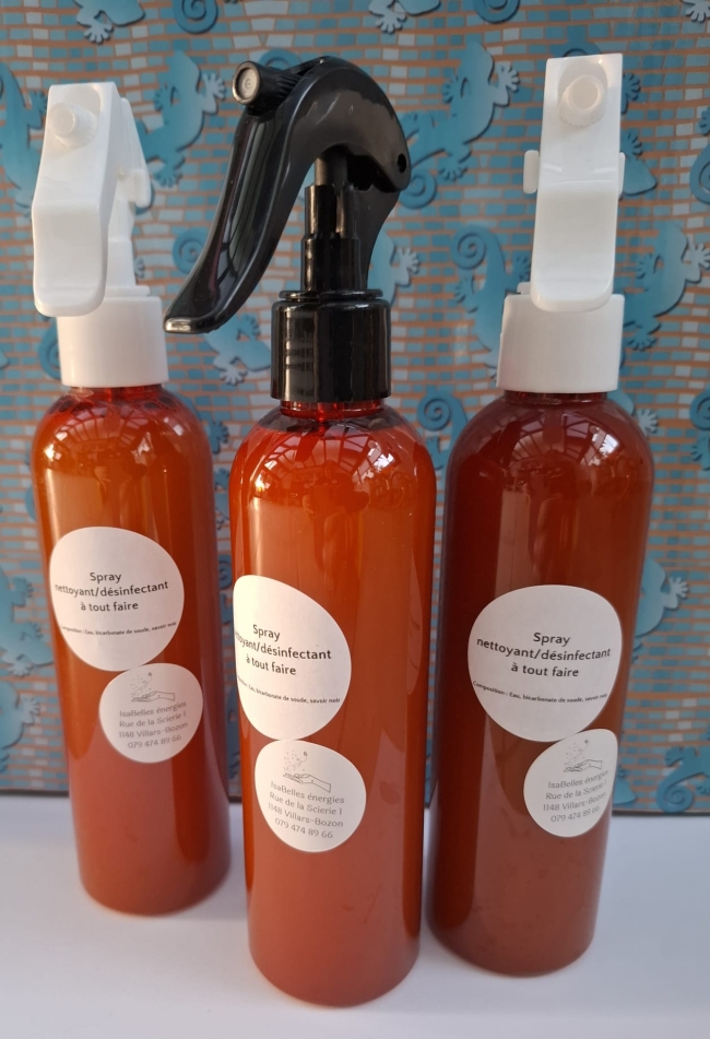 Spray nettoyant/désinfectant - 250 ml